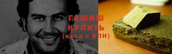 стаф Кулебаки