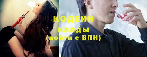 стаф Кулебаки