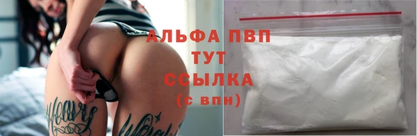 стаф Кулебаки