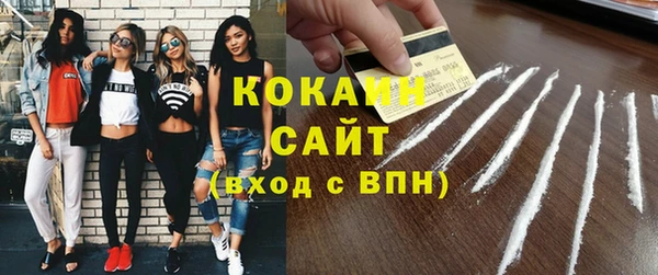 стаф Кулебаки