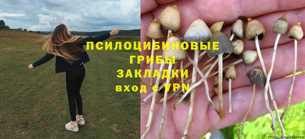 стаф Кулебаки