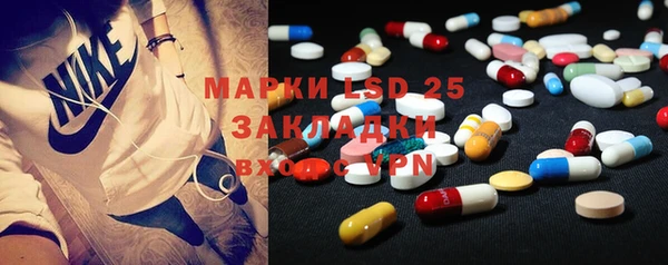 гидра Кукмор