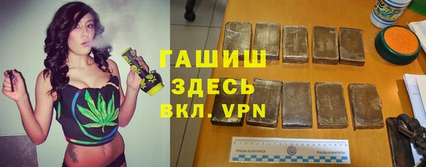 стаф Кулебаки