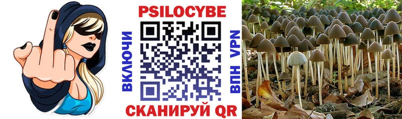 Галлюциногенные грибы прущие грибы  Купить где  Меленки 